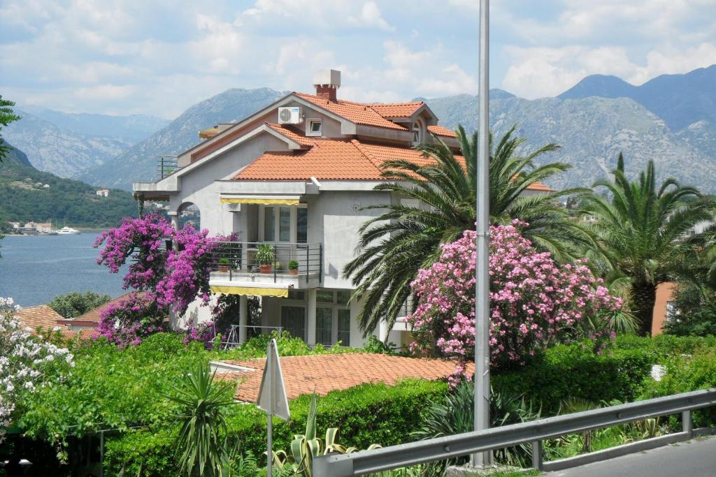 Palma Apartments Kotor Bagian luar foto